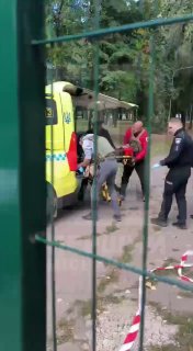 Відео