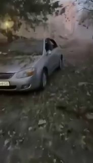 Відео