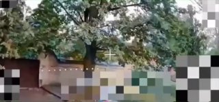 Відео