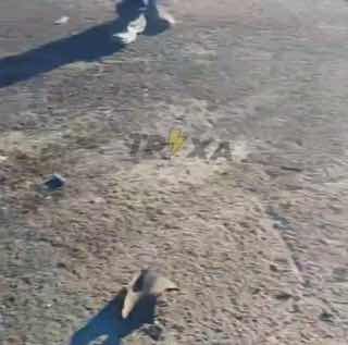 Vidéo