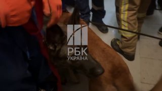 Vidéo
