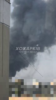 فيديو